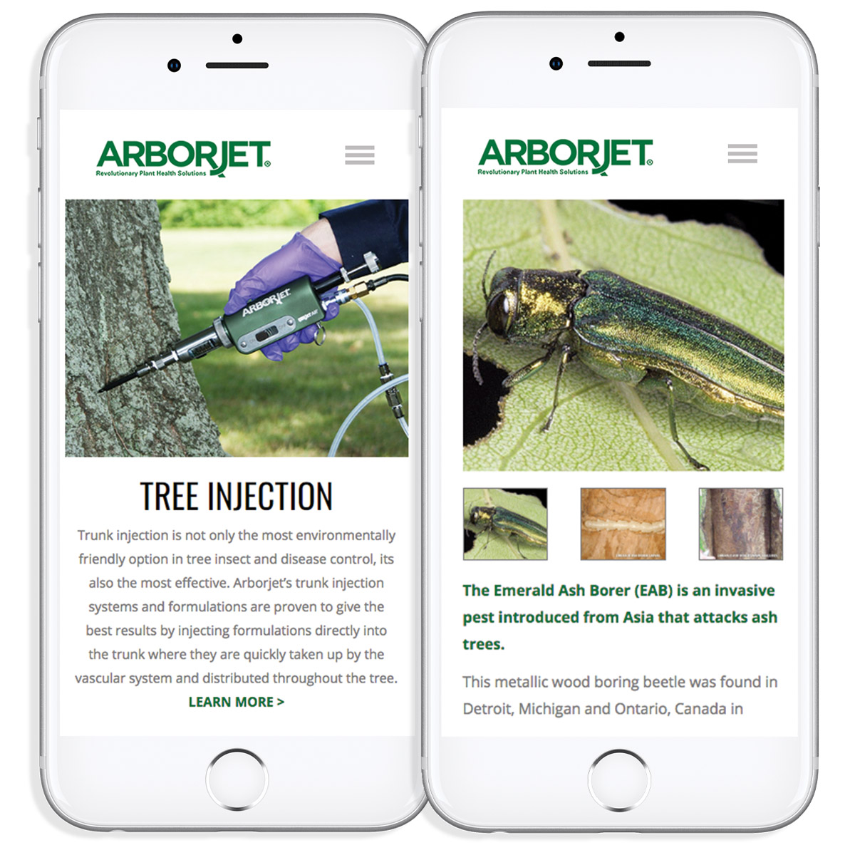 Emanio Creative Developed Marketing Materials for Arborjet